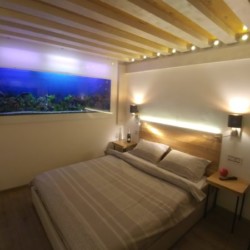 djakuzi apartman beograd golden