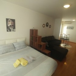stan na dan mimoza beograd