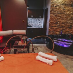 apartmani vojvode stepe vozdovac djakuzi stan na dan