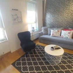 apartmani novi beograd dvosobni stan na dan belvil