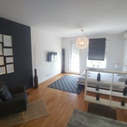 negro stan na dan beograd