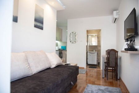 apartmani banovo brdo stan na dan beograd