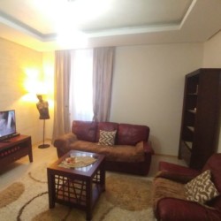apartmani senjak bigz kod sajma