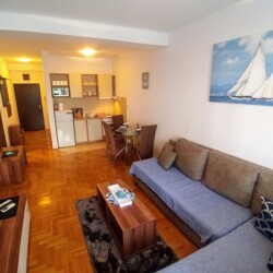 beograd apartman jedrenjak na vozdovcu u ulici vojvode stepe