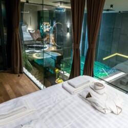 jacuzzi apartmani beograd sa bazenom