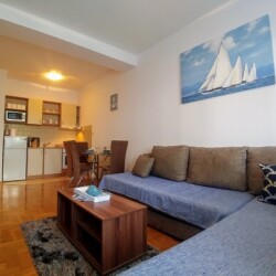 beograd apartman jedrenjak na vozdovcu u ulici vojvode stepe