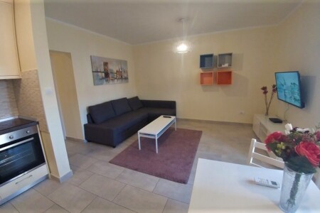 APARTMANI BORCA STAN NA DAN