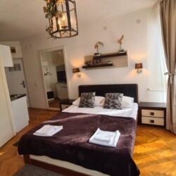 apartmani dorcol beograd