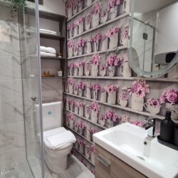 apartmani u beogradu