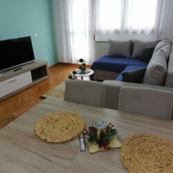 apartmani vizdovac beograd vojvode stepe vero
