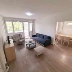 apartman pinokio zemun stan na dan