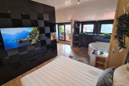 spa apartmani sa djakuzijem beograd