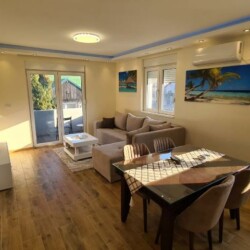 apartmani u beogradu ledine