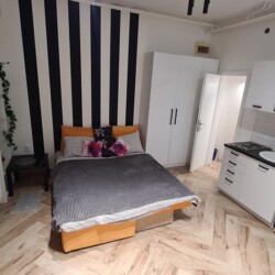 zarkovo aparmani beograd