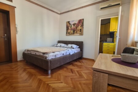 stan na dan beograd centar dorcol soko