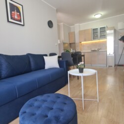 borca apartmani beograd