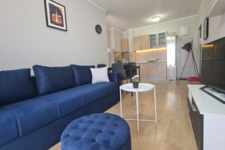 borca apartmani beograd