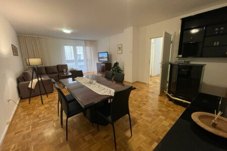 stan na dan beograd karadjordje vracar
