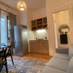 apartman na dan beograd resavska paris
