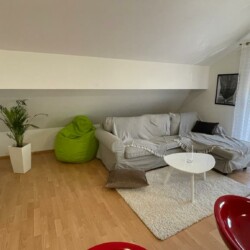 stan na dan vozdovac apartman dusanovac